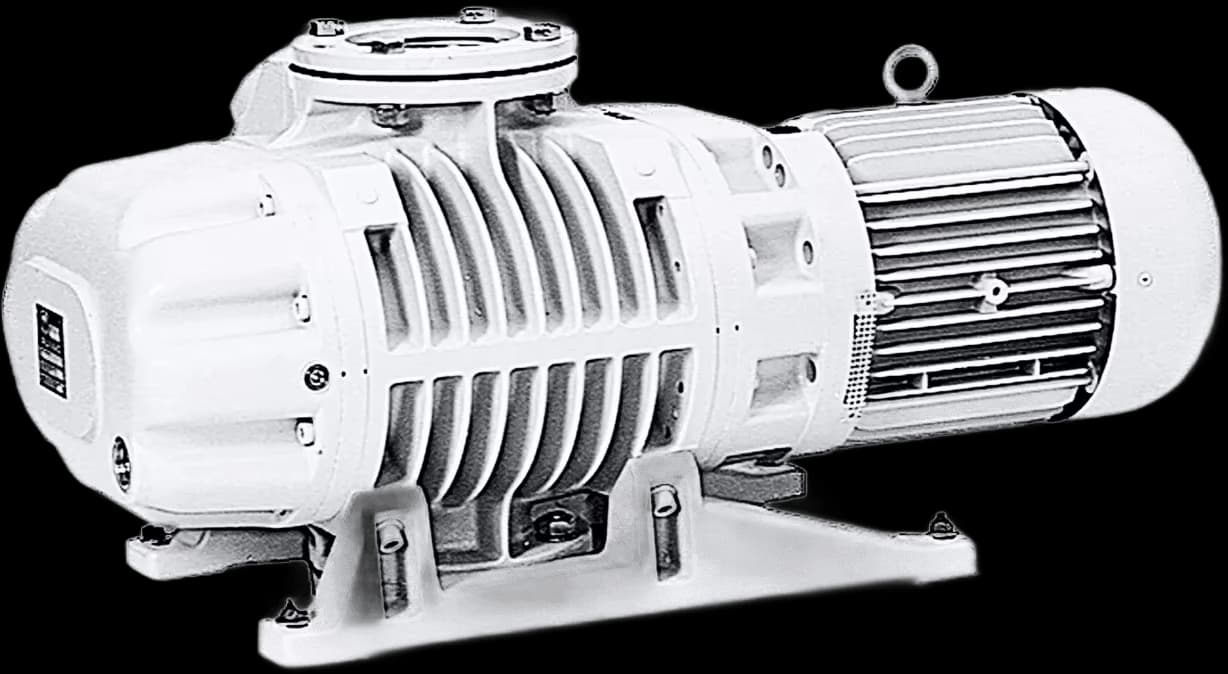 Двухроторный вакуумный насос RUVAC WS 501